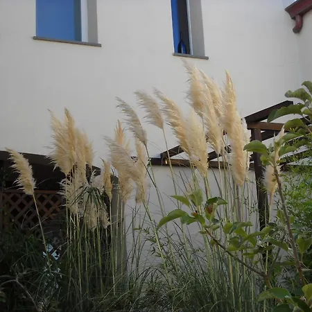 Bed & Breakfast La Balia